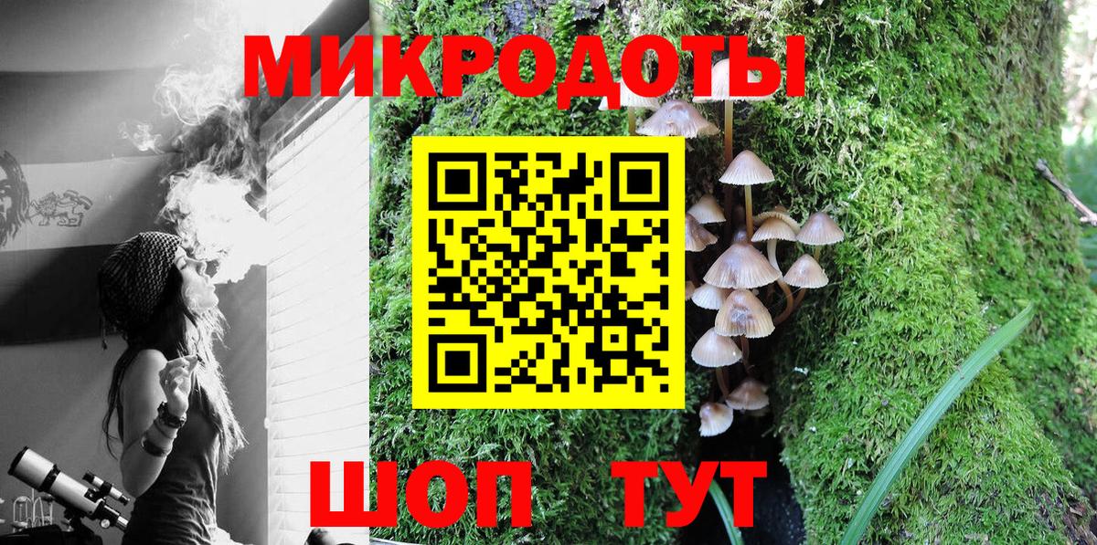 Галлюциногенные грибы Psilocybine cubensis Коломна
